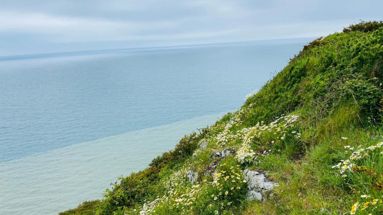 Gordy Hall -Sea Facing Welsh Cottage With Stunning Views 펜다인 외부 사진